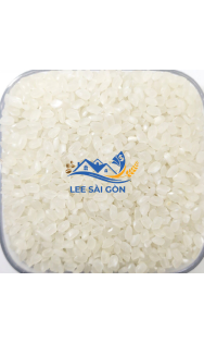 JAPONICA RICE