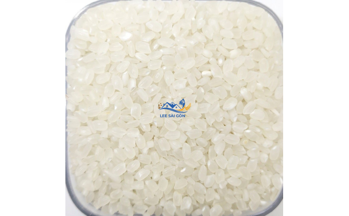 JAPONICA RICE